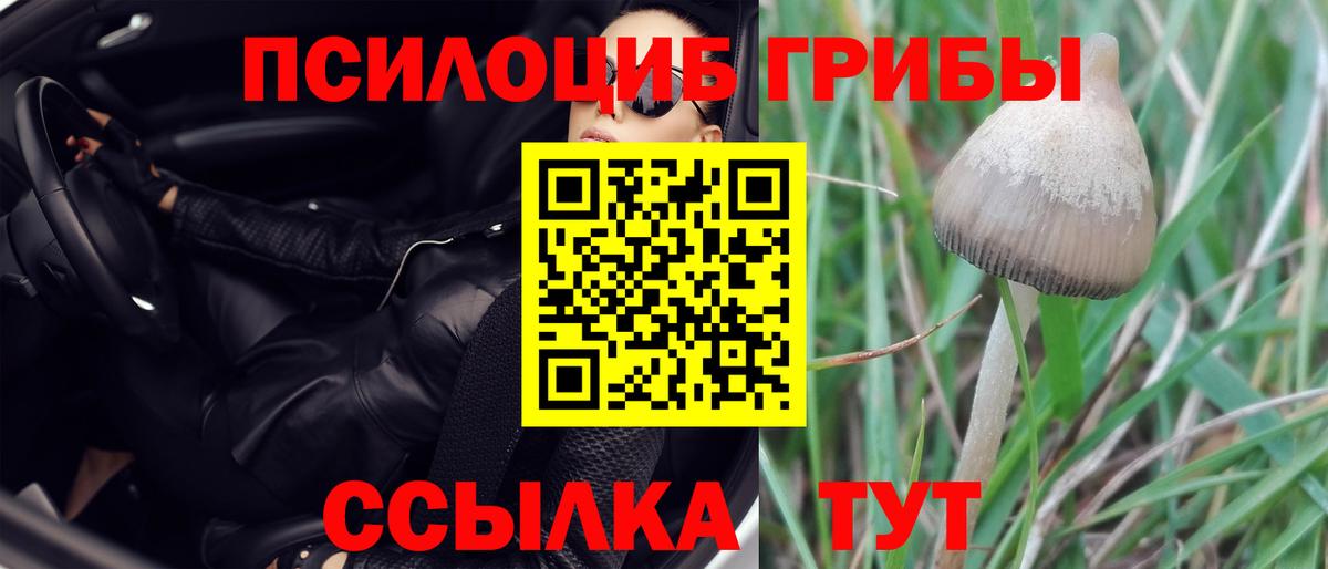 Псилоцибиновые грибы Psilocybine cubensis  Галлюциногенные грибы прущие грибы  Вход с VPN  Анжеро-Судженск 